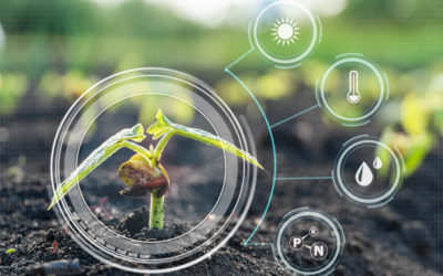 A guide to the nutritional requirements of crops