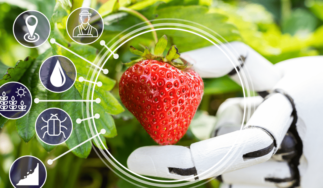 Agriculture 4.0; The Use Of Artificial Intelligience In the food supply chain