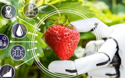 Agriculture 4.0; The Use Of Artificial Intelligience In the food supply chain