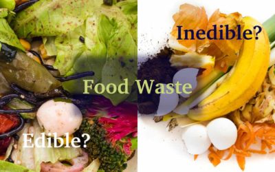 What is the difference between edible and inedible food waste?