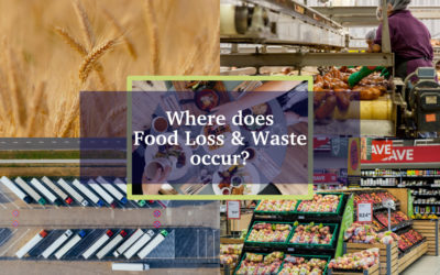 Where does food waste and loss occur?
