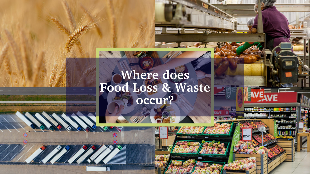 Where does food waste and loss occur? - IntelliDigest