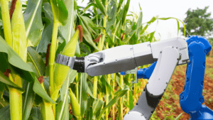 a precision corn harvester powered by AI