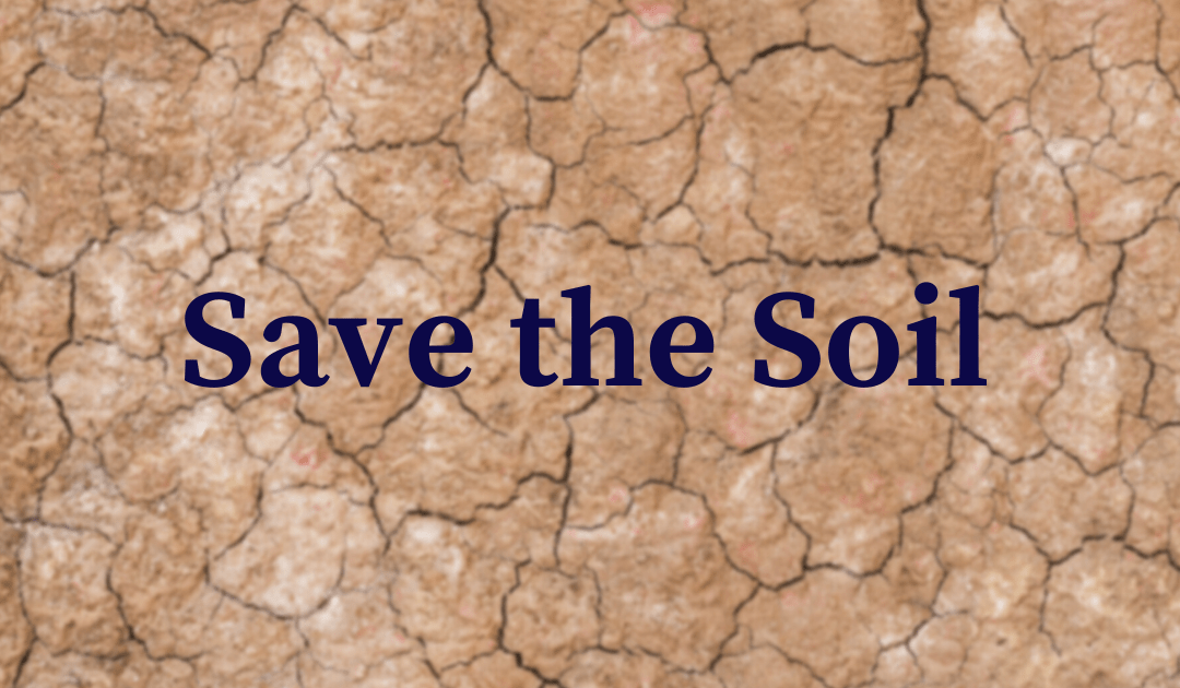 Sustainable Agricultural Innovations that will save the soil