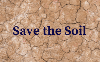 Sustainable Agricultural Innovations that will save the soil