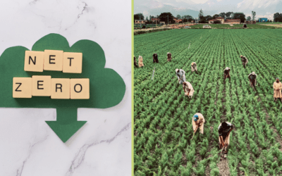 NET ZERO: The Issues Around It And The Role Of Agriculture