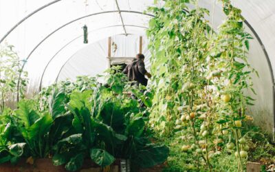 Global Agrifood TechPreneur Programme 2023