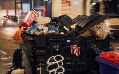 The problem with waste and potential solutions in the wake of the Edinburgh bin service strike