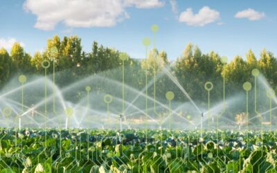 Engineering in the food system: A responsible role
