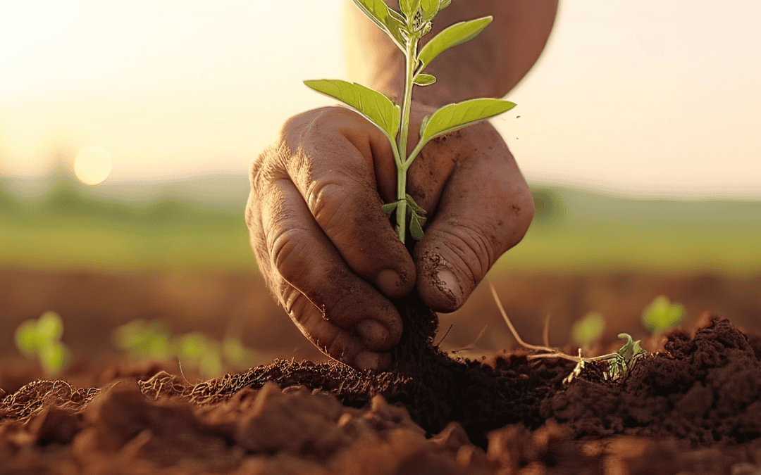 Eco-Friendly Farming Practices: Turning Food Waste into Fertilizer with the iDigest
