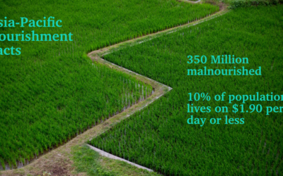 ASIA PACIFIC – AGRICULTURE AND THE EFFECT OF THE GLOBAL PANDEMIC