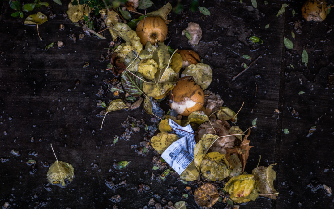 Consumer perception on food waste and carbon footprint